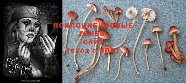 Альфа ПВП Беломорск