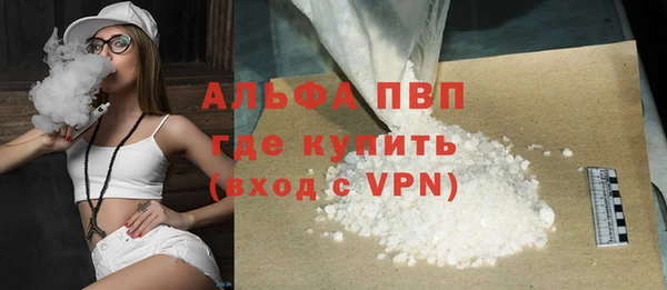гидра Белокуриха