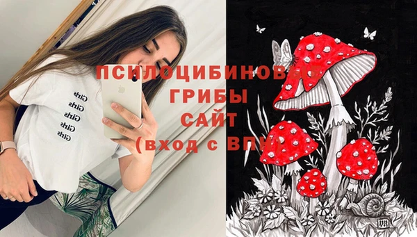 Альфа ПВП Беломорск