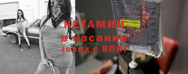гидра Белокуриха