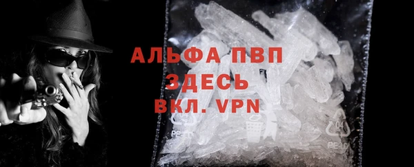 гидра Белокуриха