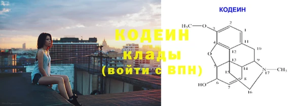 гидра Белокуриха