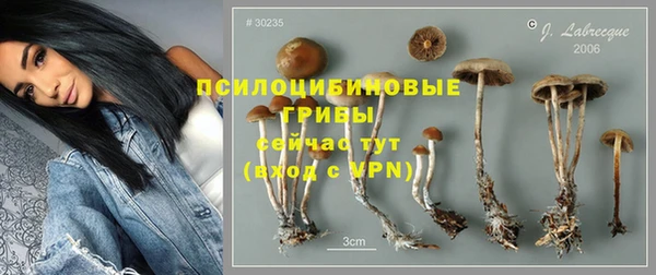 гидра Белокуриха
