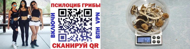 Галлюциногенные грибы Psilocybe  Макаров 
